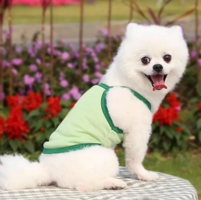 Dog avocado camisole