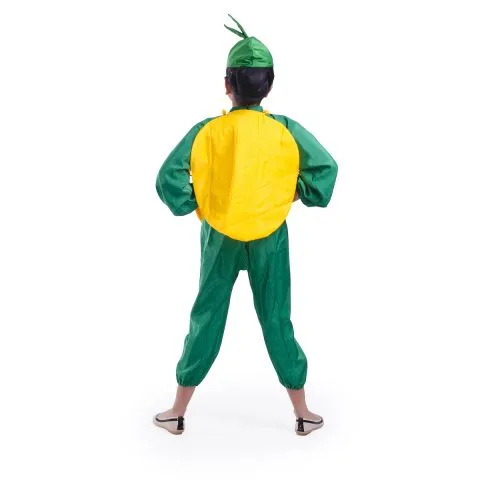 Mango Costume for Boys and Girls for Fancy dress competitions