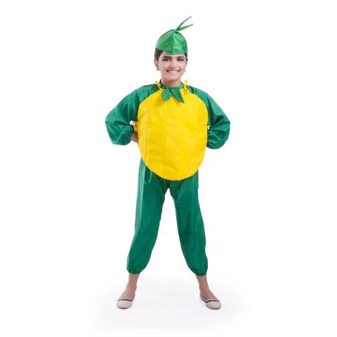 Mango Costume for Boys and Girls for Fancy dress competitions