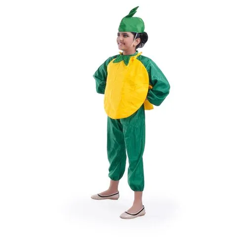 Pineapple Costume